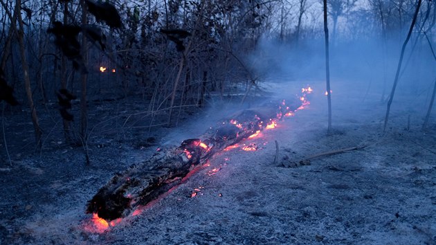 V amazonském deštném pralese řádil požár. (26. srpna 2019)