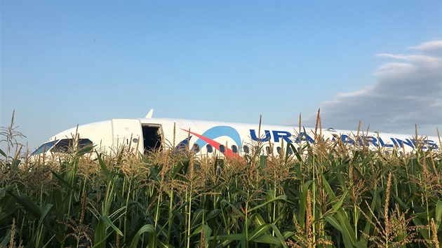 Let SV R178 společnosti Ural Airlines po úspěšném nouzovém přistání v kukuřičném poli nedaleko moskevského letiště Žukovskij 15.8.2019.