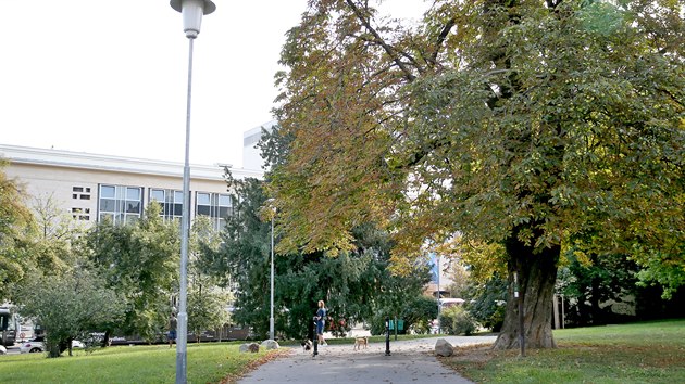 Danu�i Muzik��ov� se pojmenov�n�m parku dostalo d�stojn� pam�tky v centru Brna. P�ipom�n� ji i pam�tn� deska na n�ro�� Moravsk�ho n�m�st� s Ra��novou ulic�.