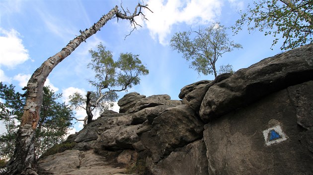 Devt skal je druhm nejvym vrcholem cel Vysoiny. Jen o jedin metr ho pedila Javoice.