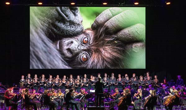 Zbr z pedstaven National Geographic: Symphony for Our World