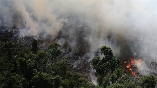 Požáry v amazonském pralese. (23. září 2013)