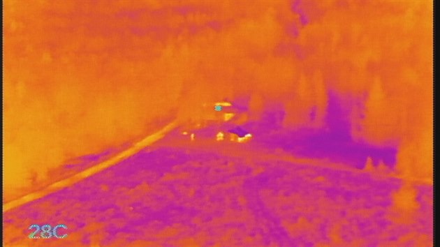 Zbry z tboit v Brdech z termokamery umstn na policejnm dronu. (24. srpna 2019)