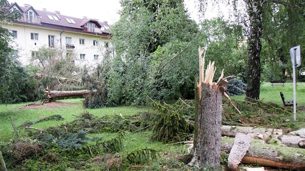 Bouka provzen hustm detm a velmi silnm vtrem polmala i vyvrtila v nkolika uniovskch ulicch bhem pr minut na tyi destky strom.