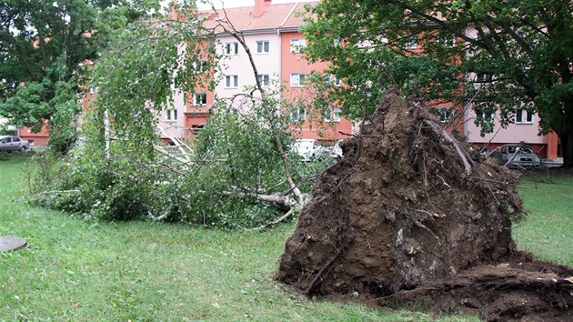 Bouka provzen hustm detm a velmi silnm vtrem polmala i vyvrtila v nkolika uniovskch ulicch bhem pr minut na tyi destky strom.