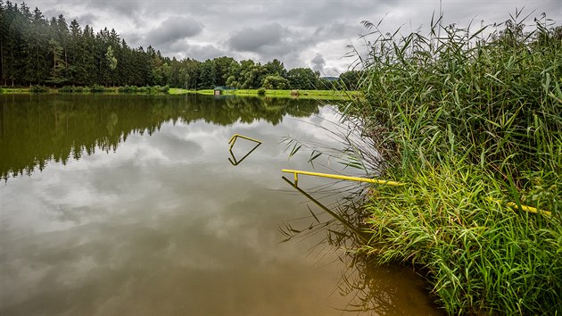 V rybnku v Dolcch se nvtvnci obas dl koupou, i kdy jen na vlastn nebezpe (22. 8. 2019).