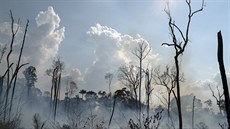 Následky poár v brazilské Amazonii. (25. srpna 2019)