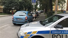 Policie na nkolik hodin uzavela budjovickou ulici L. M. Paízka kvli...