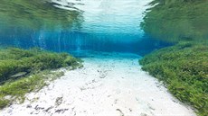 Křišťálově čistá voda pramenu Ginnie Springs na Floridě
