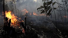 V amazonském deštném pralese zuří požáry. (26. srpna 2019)