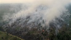 V amazonském deštném pralese zuří požáry (26. srpna 2019)