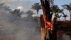 Požár v amazonské džungli (20. srpna 2019)