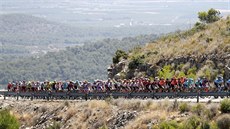 Cyklisté míí do kopc. Momentka z páté etapy závodu Vuelta a Espaa.