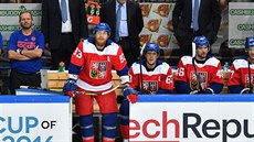 Světový pohár 2024 v Praze, plánuje NHL. Česko je kvůli domácímu MS proti -  iDNES.cz