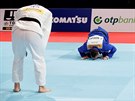 Luká Krpálek (v modrém) a Japonec Hisajoi Harasawa po finále mistrovství...