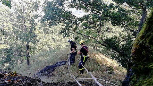 Hasiči bojují s požárem lesního porostu v obci Noviny pod Ralskem (31. srpna 2019).
