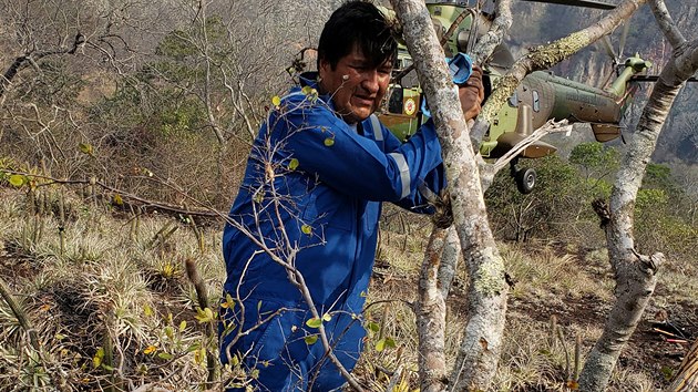 Bolvijsk prezident Evo Morales pomhal pi haen por Amazonie. (30. srpna 2019)