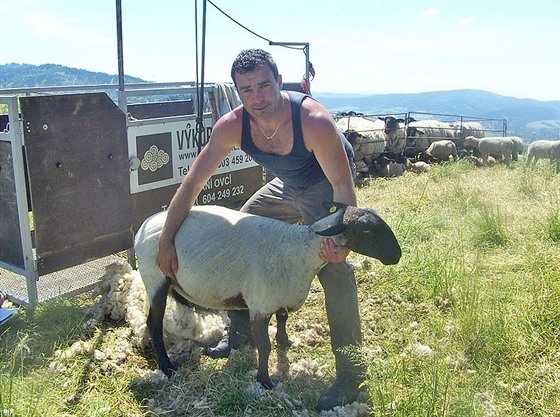 Bývalý stavbyvedoucí te stíhá tisíce ovcí ron.