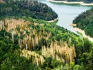 Krovcem napadené lesy v oblasti Zvíkovské Podhradí, Varvaov a Ostrovec