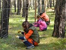 Vdci z Mendelovy univerzity u mongolsk studenty, jak sprvn peovat o lesy.