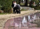 Růžový sliz, který se objevil na oblíbeném rekreačním Kamenném rybníku v Plzni,...