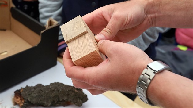 Na tesařském workshopu na náměstí v Chebu 
se návštěvníci učili rozeznávat druhy dřev.