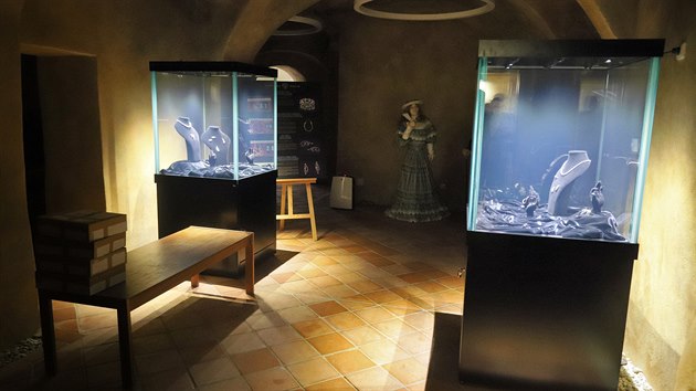Zlatý poklad je vystavený v podzemí sokolovského zámku. Ve speciálních vitrínách ho chrání pancéřové sklo.