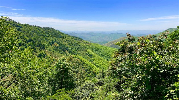 Panoramata a vhledy ze scnick oblasti v Moganshanu