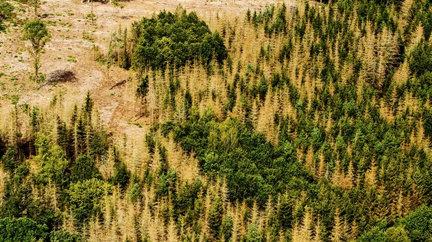 Krovcem napaden lesy v oblasti Zvkovsk Podhrad, Varvaov a Ostrovec