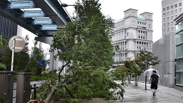 Tajfun udeil na pobe vchodn od Tokia (9. z 2019)