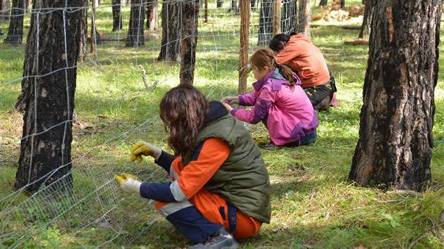 Vědci z Mendelovy univerzity učí mongolské studenty, jak správně pečovat o lesy.