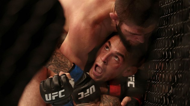 Rusk MMA zpasnk Chabib Nurmagomedov drt Ameriana Dustina Poiriera pod sebou v kleci UFC.