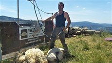 Bývalý stavbyvedoucí te stíhá tisíce ovcí ron.