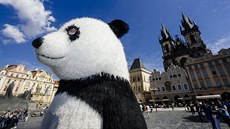 Historické centrum m�sta je zapln�né "um�lci" s nafukovacími zví�aty, jako jsou...