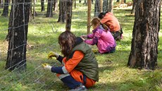 Vdci z Mendelovy univerzity uí mongolské studenty, jak správn peovat o lesy.