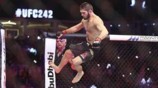 Ruský MMA zápasník Chabib Nurmagomedov ped svým dalím zápasem v kleci UFC.
