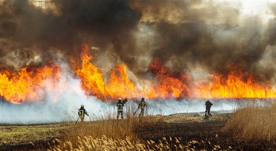 Krocení lesních požárů vyžaduje nasazení velkého počtu hasičů.