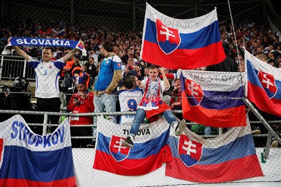 Na pořádek v sektoru hostujících fanoušků dohlíželi při utkání mezi Maďarskem a...