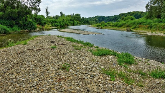 Řeka Bečva v lokalitě zvažované přehrady Skalička poskytuje domov řadě...