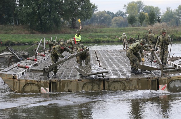 Vláda chce usnadnit vysílání vojáků do zahraničí. Podpořit to může i ANO