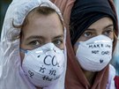 Aktivisté bojující proti změnám klimatu pokračují v protestech proti...
