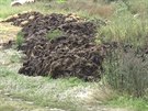 Tuny hnoje skonily za hbitovem