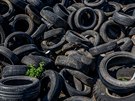 Ve Velii na Jinsku dl pibv pneumatik na ern skldce. (8. z 2019)