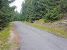 Celá trasa vede schovaná lesem, okolní kopce jsou z Terex-Janoukovy cesty...