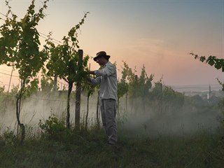 Chci vyprávět příběhy lidí, kteří mají blízko k půdě a přírodě jako takové,...