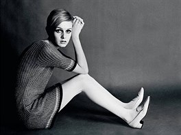 Twiggy (* 19. z 1949) - Svtoznm modelka se narodila v Anglii jako Leslie...