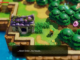 The Legend of Zelda: Link's Awakening (2019)