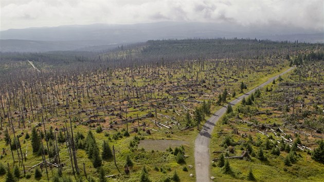 Pohled z Poledníku ukazuje, že stromy v okolí známé rozhledny v uplynulých letech ničil kůrovec i orkán Kyrill.