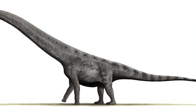 Hypotetická rekonstrukce vzezření jednoho z největších známých sauropodních dinosaurů, titanosaura druhu Argentinosaurus huinculensis. Tento gigant, žijící v době před 95 miliony let na území argentinské Patagonie, pravděpodobně překonával hmotnost 80 tun, podle některých odhadů mohl mít dokonce až 96 tun. Nejspíše se tedy přiblížil biomechanickému limitu pro velikost jakéhokoliv suchozemského živočicha.