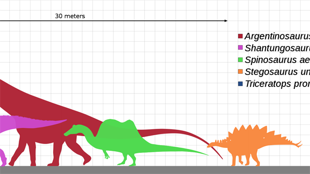 Sauropodi byli giganti dokonce i ve srovnání s ostatními dinosaury. I ti největší ornitopodi a teropodi dosahovali hmotnosti „pouze“ v rozmezí 10 až 20 tun, byli tedy několikanásobně méně hmotní než jejich největší dlouhokrcí příbuzní. Zároveň byli rekordní sauropodi přinejmenším dvakrát delší než největší kachnozobí dinosauři a spinosauridi, kteří dosahovali délky kolem 16 metrů. V současnosti se největší sloni a nosorožci ani neblíží rozměrům byť jen středně velkých sauropodů.